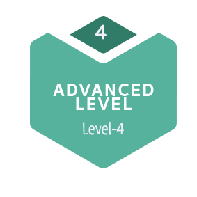 Level-4