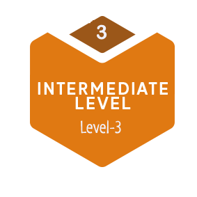 Level-3